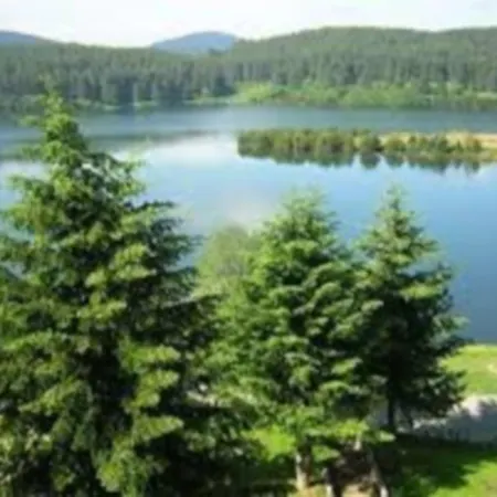 San Lorenzo Si Alberga Camigliatello Silano