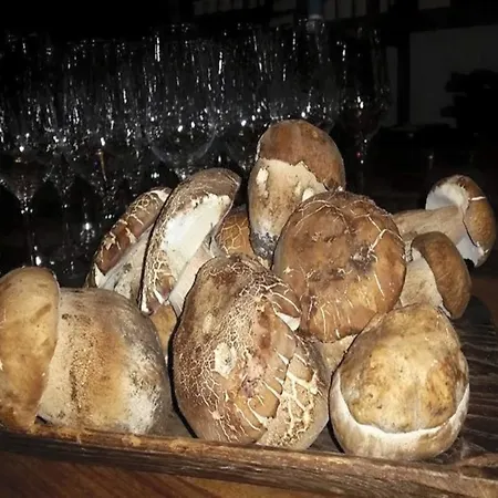San Lorenzo Si Alberga Отель