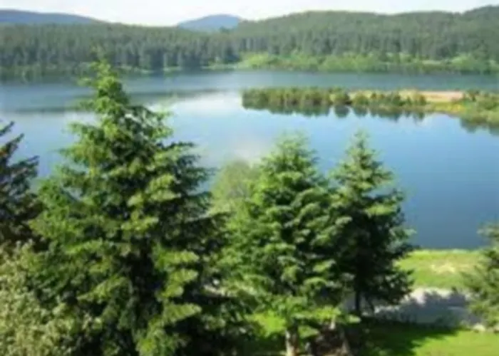 San Lorenzo Si Alberga קמיליאטלו סילאנו