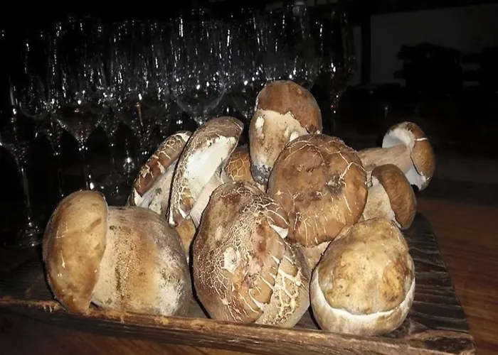 San Lorenzo Si Alberga מלון