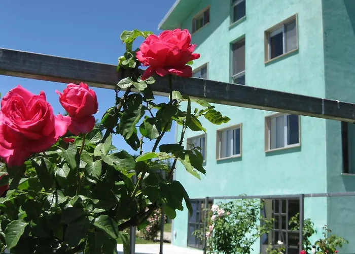 San Lorenzo Si Alberga 3*