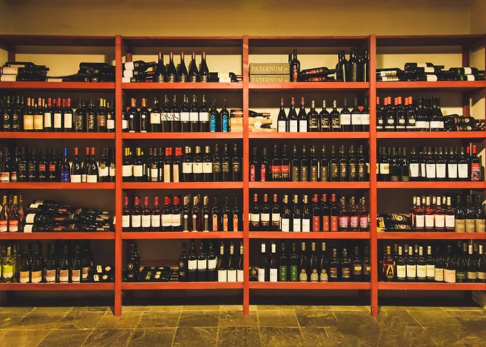 San Lorenzo Si Alberga קמיליאטלו סילאנו